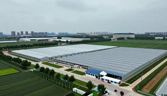 本地运维服务对紧固件性能与适用条件的影响分析